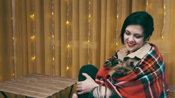 Жінка обіймає і зігріває свого собаку-тер'єра в Йоркширі. Маленький собака дивиться з-під теплої ковдри. Сімейна втіха і тепла атмосфера з домашніми тваринами.. — стокове відео
