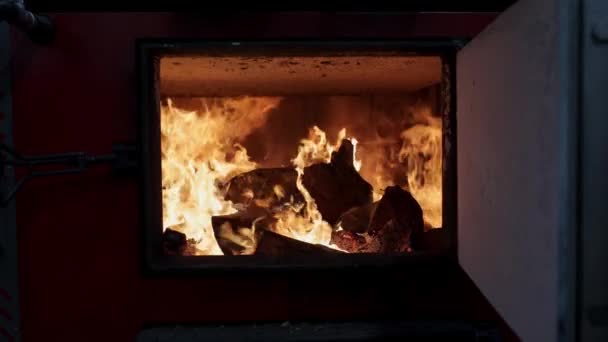 Combustión de combustible sólido en la caldera. Quemaduras de combustible respetuosas del medio ambiente en la caldera. Temporada de calefacción. — Vídeo de stock