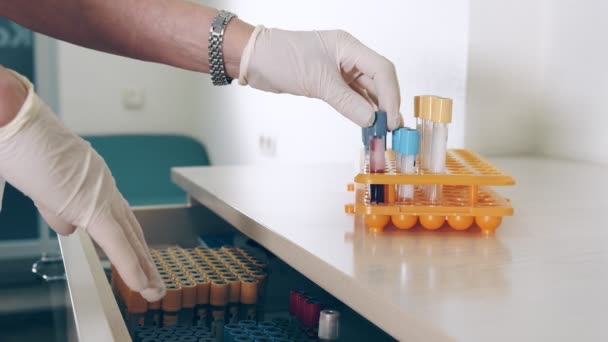 Krankenschwester nimmt ein Reagenzglas mit einem Bluttest, untersucht es und legt es in den Aufbewahrungsbereich der Blutreagenzgläser. Arbeit im Labor für Bluttests. — Stockvideo