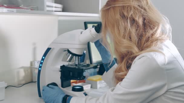Ilmuwan melakukan penelitian menggunakan mikroskop di laboratorium. Peneliti wanita bekerja dengan mikroskop. Ahli mikrobiologi menganalisis sampel tes. — Stok Video