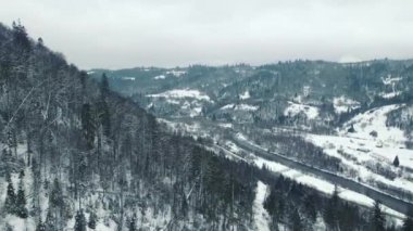 Kış dağlarının ve karla kaplı ağaçların güzel manzarası. Kışın dağların üzerinden uçmak. Ağaçlar karla kaplı.