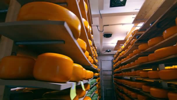 Зберігання сиру різних сортів на дерев'яних полицях в холодильнику. Сир на полицях сховища . — стокове відео