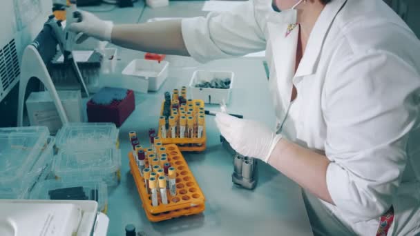Un trabajador del laboratorio sostiene un dispensador de pipetas y transfiere muestras de sangre de pacientes con coronavirus Covid 19 a tubos médicos para más análisis de sangre en el laboratorio. — Vídeos de Stock