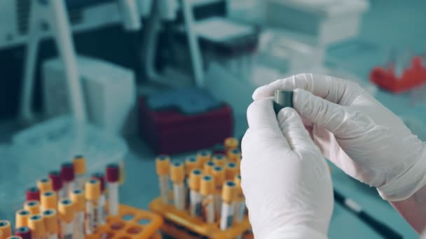 Gros plan d'un assistant de laboratoire tenant une éprouvette contenant du sang infecté par le coronavirus covid19 et une pipette doseuse de sang de bouleau pour analyse en laboratoire. — Video