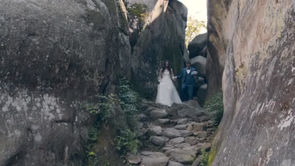 Newlywed wedding couple walking in the park. Two young people in love meet each others eyes — Stock Video