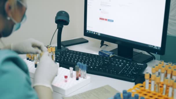 Une femme entre des informations sur un test sanguin dans un ordinateur. Une femme scanne à la main des éprouvettes avec des tests qu'elle entre dans une base de données de laboratoire. — Video