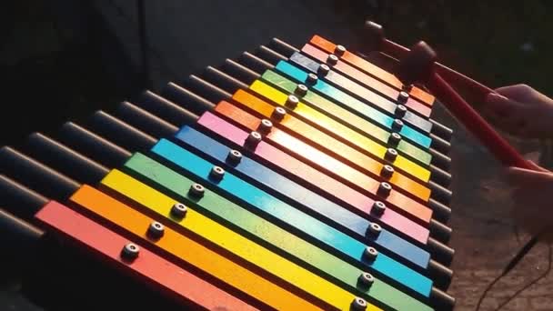 Je joue du xylophone. Une main d'enfant frappe les touches colorées du xylophone. — Video