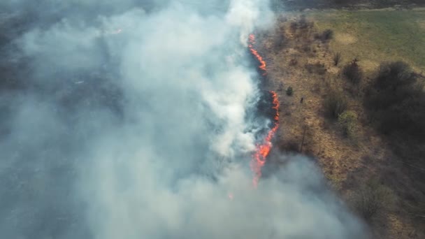 A férfi figyeli a tüzet. Légi felvétel Tavaszi tüzek. A légkörbe kerülő por és nitrogén-oxidok kibocsátása. A tűz során kibocsátott füst. Nagyméretű tüzek. — Stock videók