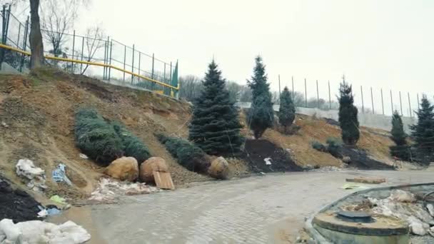 Trees preparing for planting. Landscaping around the new house. Planting a park of trees. — Αρχείο Βίντεο