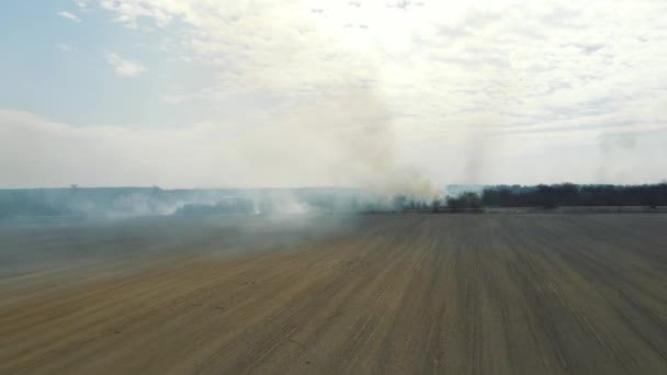 Vuelo aéreo sobre el fuego en el campo. Grandes nubes de humo cubren una gran área. — Vídeo de stock