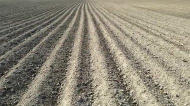 Havadan görüş alanı ilkbaharda sürüldü. Kara toprağın üzerinde uçmak. Ekinler için yataklarla sürülmüş toprak..