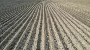 Arısal drone tarla görüntüsü. İlkbaharda ekime hazırlanıyorum. Ekilmeye hazır bir tarla..