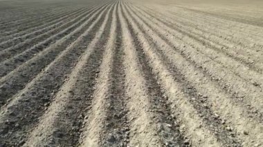 Havadan görüş alanı ilkbaharda sürüldü. Kara toprağın üzerinde uçmak. Ekinler için yataklarla sürülmüş toprak..