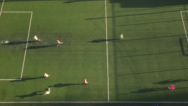 Le début d'un match de football et marquer un but. Vue aérienne d'un match de football la vue du haut — Video