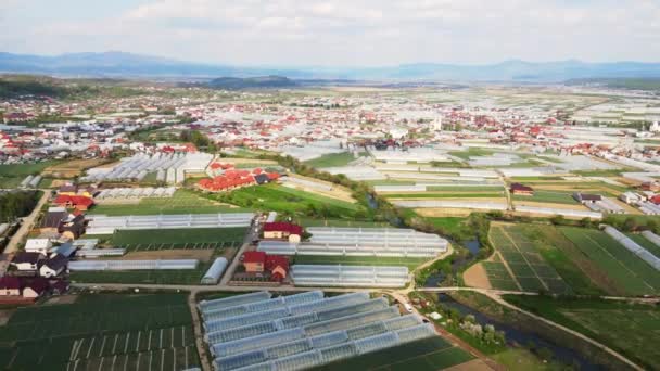 Aerial view fabulous city where vegetables are grown. Greenhouses of large sizes. Growing in greenhouses on an industrial scale. — Stock Video