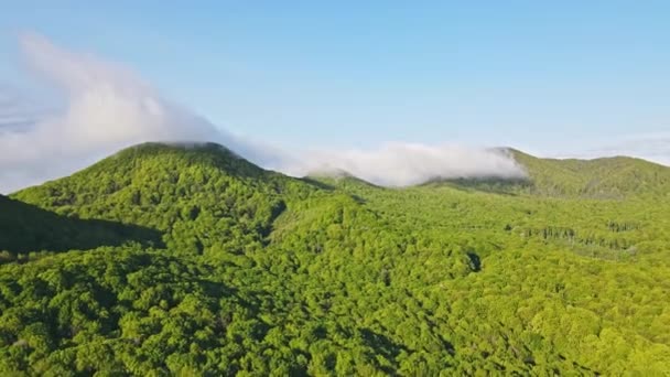 Letecká létající krajina na horách. Zelené hory jsou pokryty ranní mlhou. Mlha, která pokrývala vrchol hory — Stock video