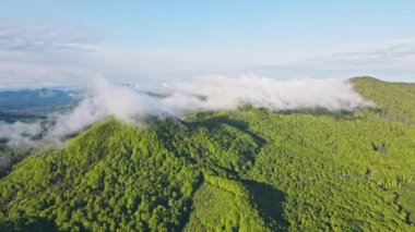 Yeşil ormanlarla kaplı bir dağın tepesinde hareket eden bulutların üzerindeki muhteşem manzara. Sabah bulutlarının hareket ettiği muhteşem bir dağ manzarasının drone görüntüsü..