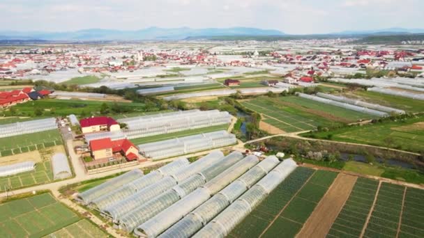 Aerial view fabulous city where vegetables are grown. Greenhouses of large sizes. Growing in greenhouses on an industrial scale. — Stock Video