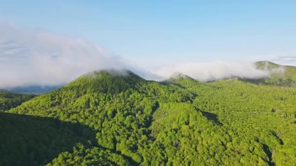 공중에서는 아침 구름으로 덮여 있는 푸른 산들의 과속 현상을 볼 수있다. 산의 표지를 덮은 구름의 움직임. 드론에 의한 아름다운 아침 라플라시아. — 비디오