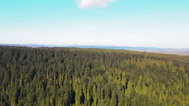 Afrikas Naturlandschaften. Flug über den Morgenwald in den Bergen. Landschaft grüner Berge mit Quadcopter. — Stockvideo