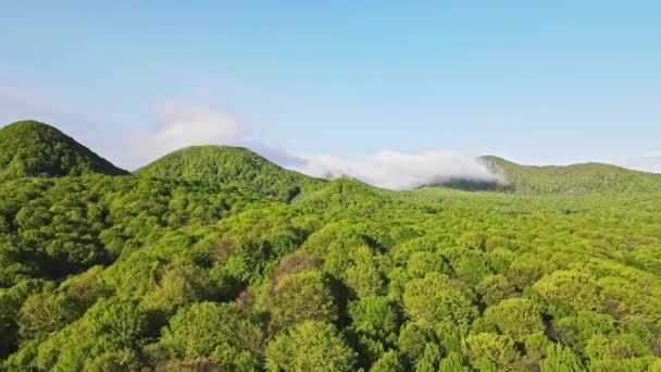 Morgennebel in den mit grünem Wald bedeckten Bergen. Flug über den grünen Wald und eine herrliche Aussicht auf die nebelverhangenen Berge — Stockvideo