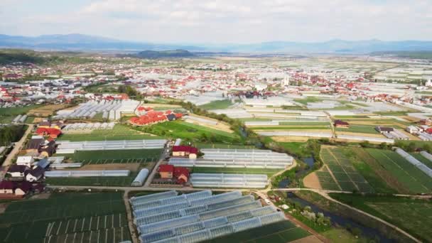 Flight over agricultural greenhouses. Industrial cultivation of vegetables in greenhouses — Stock Video