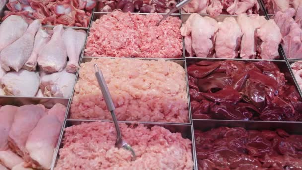 Fleisch auf der Supermarkttheke. Hackfleisch und Schweinefleisch in Metallbehältern ausgebreitet. Fleischverkauf. — Stockvideo