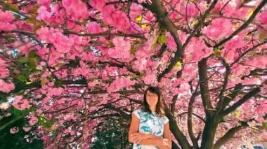 Pembe bir sakura ağacının altında duran kız. Büyük sakura ağacı ve beyaz uyruklu genç bir kız kameraya bakan bir ağacın altında..