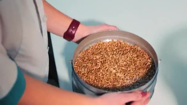 Peneiramento e limpeza de grãos de trigo com uma peneira. Limpeza de grãos no laboratório. mãos femininas peneirando grãos — Vídeo de Stock