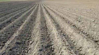 Havadan görüş alanı ilkbaharda sürüldü. Kara toprağın üzerinde uçmak. Ekinler için yataklarla sürülmüş toprak..
