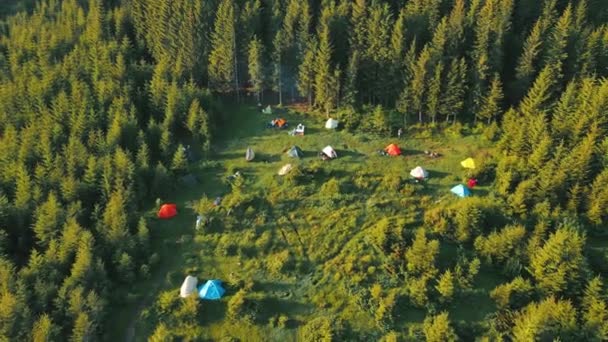 Flug über eine Zeltcampinggruppe von Touristen in den Bergen bei Sonnenaufgang. Kartoffelstadt einer Gruppe von Kletterern aus der Vogelperspektive. Touristenlager im grünen Wald — Stockvideo