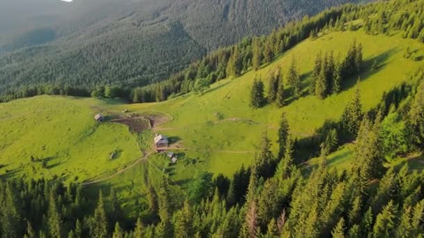 Luftflug über das Märchen in den Bergen mit einer Käserei und alten Holzhäusern. Blick von oben auf eine Weide mit Kühen und Häusern auf einer Wiese in den Bergen — Stockvideo