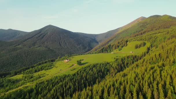 Vuelo aéreo sobre el cuento de hadas en las montañas con una fábrica de quesos y antiguas casas de madera. Vista desde arriba sobre un pasto de vacas y casas en un prado en las montañas — Vídeo de stock