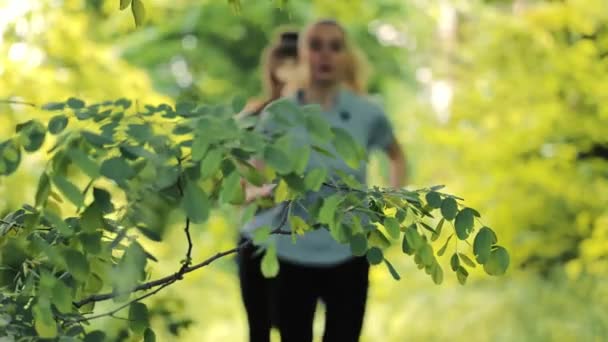 Due giovani atleti in abbigliamento sportivo corrono per il parco, toccando un ramo d'albero. Silhouette di due corridori ragazza — Video Stock