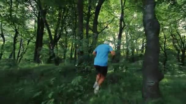 Oekraïne. Lviv. 01.08.2021 Man in het bos, achteraanzicht, atleet op bospad, ochtendjoggen — Stockvideo