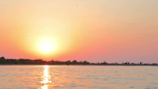 美丽的落日在海面上.海边美丽的日出。晨光在水里闪耀.橙色日出. — 图库视频影像