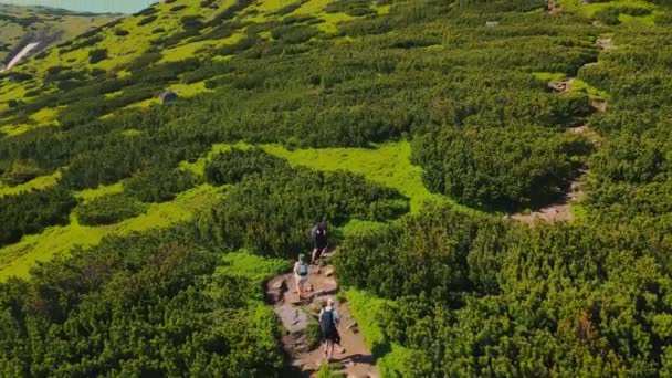 Egy csapat turista mászik a hegyekbe madártávlatból. Túrázni három turistát a hegyekben. Mássz fel a Füles-kőre, 1864 m. Ukrán Kárpátok. A turistákat körülveszik. — Stock videók
