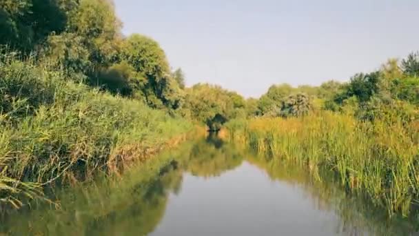 Вид с лодки на канал или реку и густой лес. Путешествие по каналу дикой природы. — стоковое видео