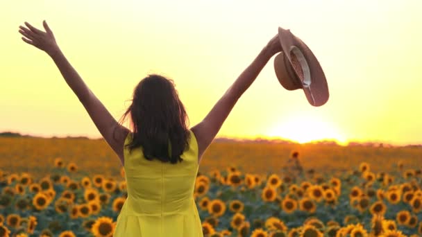 Femme au coucher du soleil dans un champ de tournesols lève les mains tenant un chapeau dans sa main et le mettre sur sa tête. Jeune fille en robe jaune dans un champ de tournesols au coucher du soleil — Video