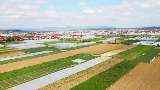 Aerial Flight over greenhouses and greenhouse vegetable growing in agricultural greenhouses — Stock Video