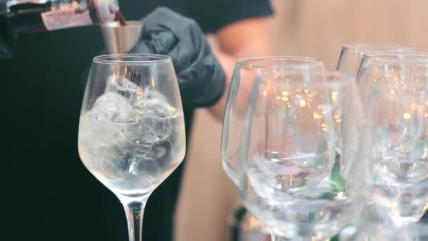 バーテンダーは赤ワインを氷のキューブでガラスに注ぐ。近くで撃って。ワインを注ぐ氷のガラス — ストック動画