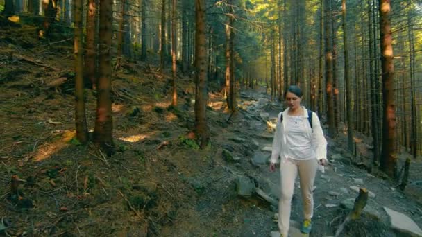 Donna che viaggia in una fitta foresta fatata arrampicata. Vista di una donna e della foresta da dietro. Donna che viaggia con uno zaino nella foresta oscura — Video Stock