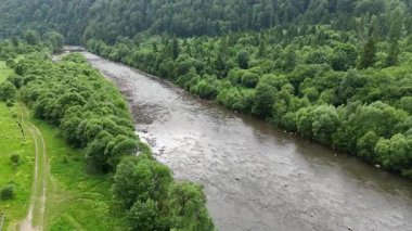 Geniş, sığ bir dağ nehrinin havadan görünüşü yemyeşil bir vadi ormanı boyunca akıyor çamurlu bir nehir yatağı, yeşil bankalar ve toprak bir patika ile doğal yaz manzarası..