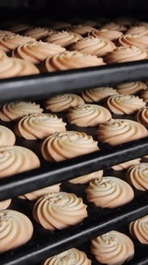 Metal tepsilerde taze pişmiş kurabiyeler fırında girdap şeklinde kurabiyelerle dolu tepsiler..