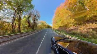 Ciddi bir adam, güneşli sonbahar yolunda ağaçlarla dolu modern bir araba kullanıyor. Erkek bir sürücü, iş gezisinde ya da seyahatte direksiyon başında..
