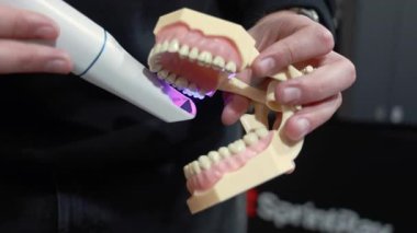 Pratik ders sırasında diş hekiminin elleri iyileştirici ışık aracını tutarken ve çene modelini polimerleştirirken kapat.