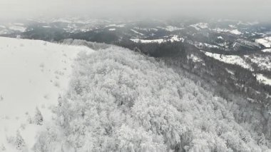 Karlı kış dağlarının ve bulutlu gri gökyüzünün altındaki ormanın havadan görünüşü.