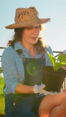 Bitkilerin yetiştirilmesi. Bir kadın bahçıvan yeşil bir bitkinin filizini inceliyor. Eve yakın çiftçilik..