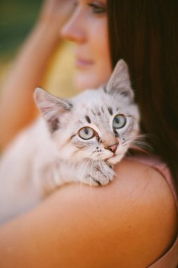 Elbiseli ve şapkalı kız elinde kedi yavrusu tutuyor.