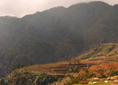 Dağlar ormanla kaplı ve bir patika yukarı çıkıyor. Sapa. Vietnam